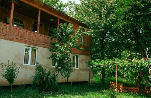 Ambrolauri House | tsereteli's house