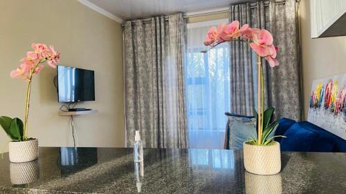 Mkhuhlu Apartment | Tshamani self catering