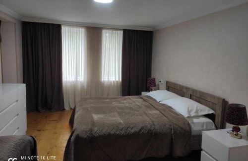 Tsqaltubo House | Tskaltubo Apartment Meri