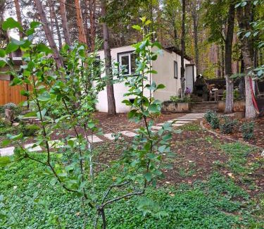Tsqneti House | Tskneti