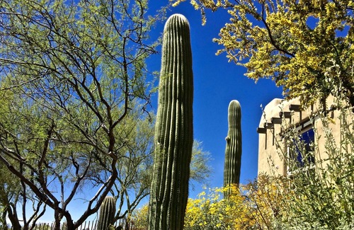 Las Lomas De Kino House | Tucson's Gateway to Best Restaurants & Shopping + Heated Pool + 2 Master Suites