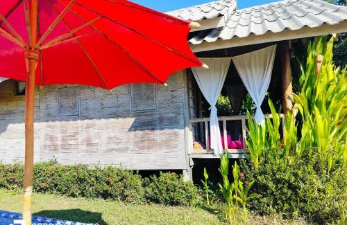 Pai Resort | Tulip Resort Pai