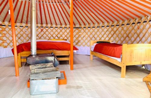 Arhangay Cabin | Tungalag tamir tourist camp