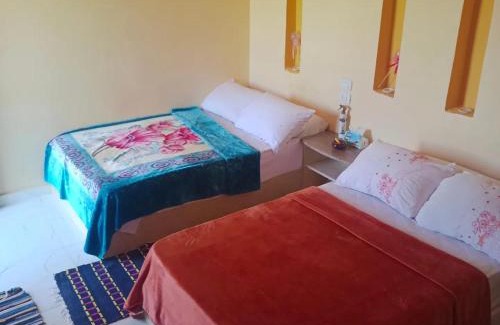Tunis Village House | Tunis Camp