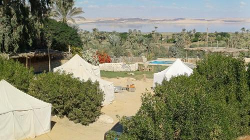 Tunis Village Other | Tunis Tone Ecolodge & Campsite