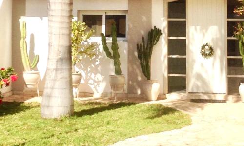 Corralejo Villa | Turquesa 3 Fuerteventura