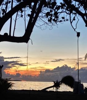 Dhiffushi Hotel | Turtle Hive - Velaa Vani