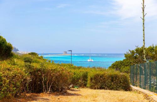Stintino Villa | Turtle House
