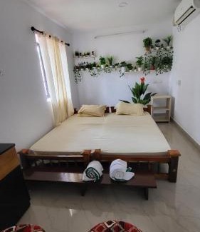 Munroe Island Bed & Breakfast | Turtle Island - Homestays