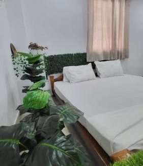 Munroe Island Bed & Breakfast | Turtle Island - Homestays