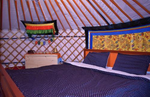 Arhangay Cabin | Tushdiin Rashaan Ger Camp