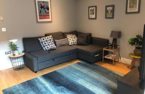 South Twickenham House | Twickes Townhouse