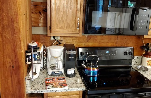 Gatlinburg - Pigeon Forge Cabin | Twin Bear II - Enjoy Fall in the Smokies! EV Charging is Here for Guests!