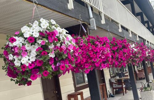 Lumby Hotel | Twin Creeks Motel