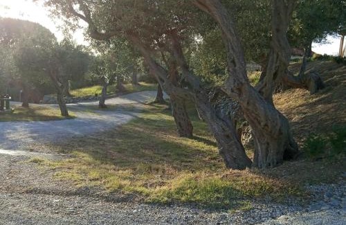 Province of Messina House | Twin Villas