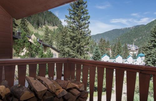 Taos Ski Valley House | Twining 7