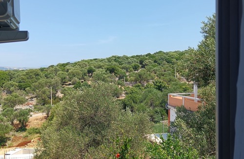 Lun Apartment | Two bedroom apartment with terrace and sea view Lun, Pag (A-24796-d)