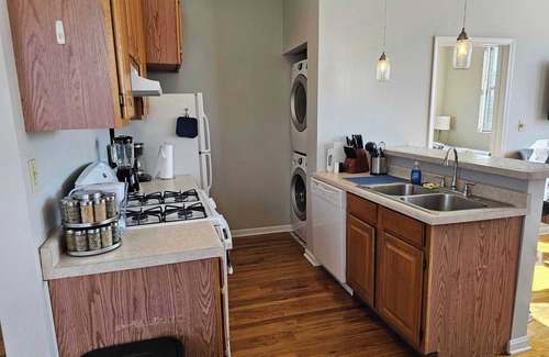 West Town Apartment | Two Bedroom West Loop