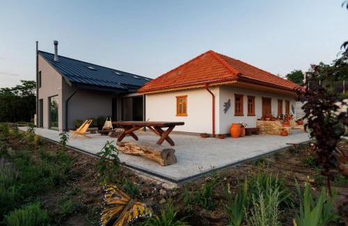 Transnistria Villa | Two Doves House