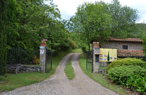 Castelfranco di Sopra Apartment | Two-room apartment in Tuscany country style