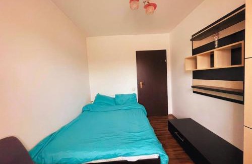 Cluj-Napoca Apartment | Two Rooms Cosy Apartment