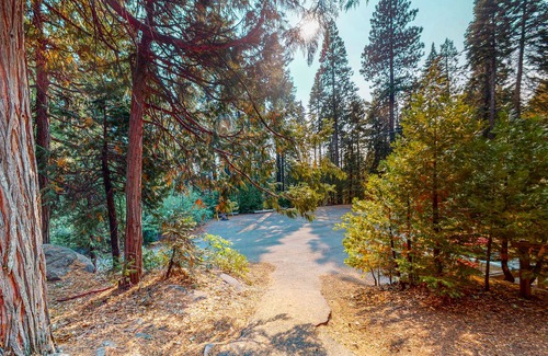 Camp Connell Condo | Two-story dog-friendly condo with balcony, washer/dryer, & full kitchen
