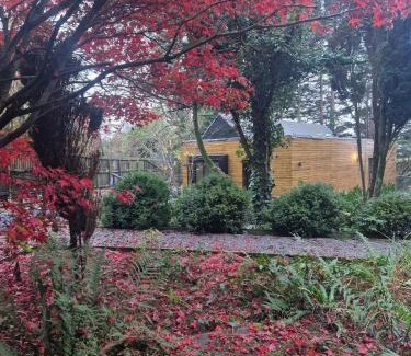 Cowbridge Villa | Ty Branwen