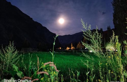 Leh Other | Tyakshi Summer Camp
