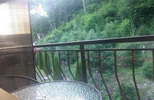 Karpaty Cabin | U Lyudmily