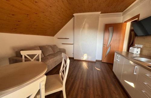 Solochyn House | U Neli