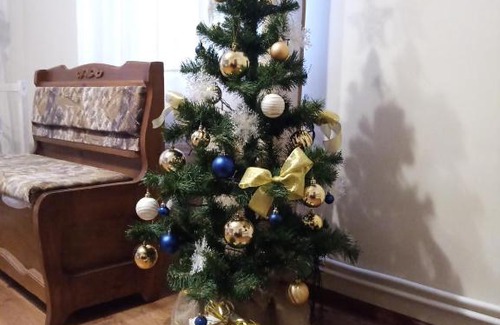 Pskov Apartment | U Solodezhni