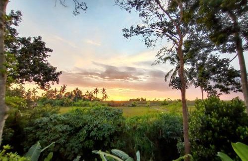 Singapadu Tengah Villa | Ubud 3-bedrooms with sunset view