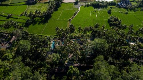 Kedewatan Villa | Ubud Padi Villas