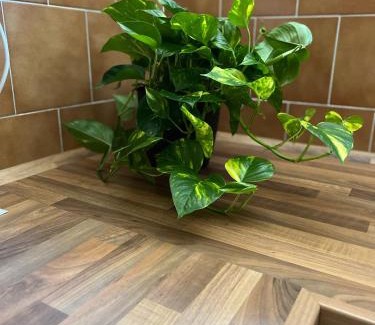 Ostrava Apartment | UBYTOVÁNÍ ALENA