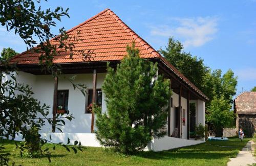 Polichno House | Ubytovanie na včelej farme