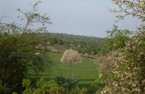 Polichno House | Ubytovanie na včelej farme