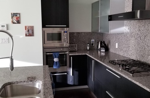 Downtown Victoria Condo | Ultimate Luxury at the Falls