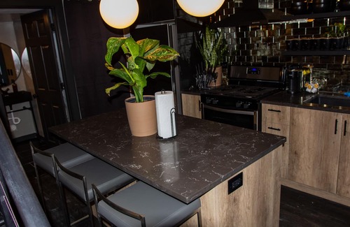 Pulaski Park House | Ultra Modern Wicker Park Pad w/HUGE Outdoor Space