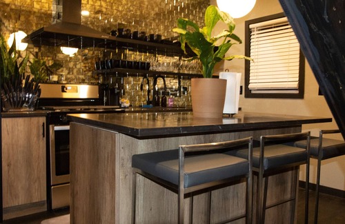 Pulaski Park House | Ultra Modern Wicker Park Pad w/HUGE Outdoor Space