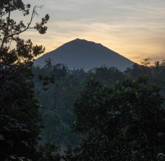 Sebatu Villa | Umah Capung Sebatu Villas