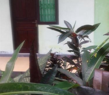 Delod Peken House | Umah Hijau Tabanan