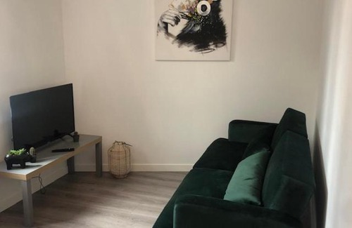 Saint-Roch - Badouillere - Chavanelle Apartment | Un coin de verdure dans le centre de St Etienne