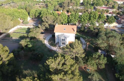 Salin-de-Giraud Bed & Breakfast | Un Nid en Camargue