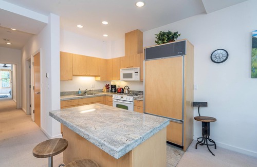 Telluride Condo | Unbeatable Location for Festivals with Amazing Views