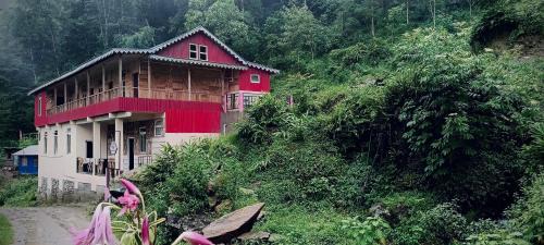 Lebong and Mineral Spring Tea Garden House | Uncharted Retreats Nomee Homestay