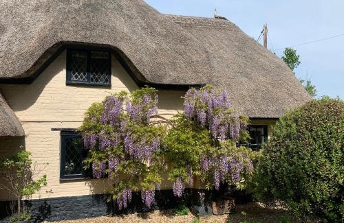 Blandford Forum House | Under Acre Cottage