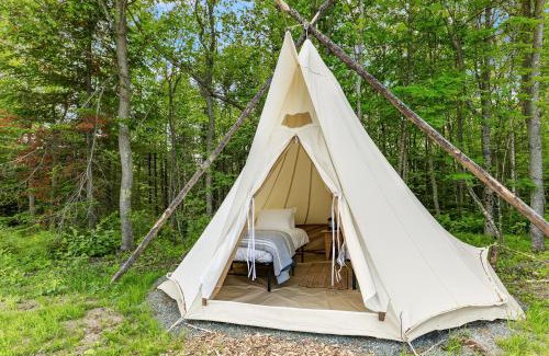 Surry Other | Under Canvas Acadia