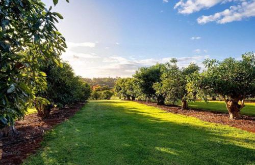 North Tamborine House | Under the Tunscan Sun - Tamborine