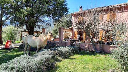Bormes-Les-Mimosas House | UNE PAUSE EN FORET A LA FERME