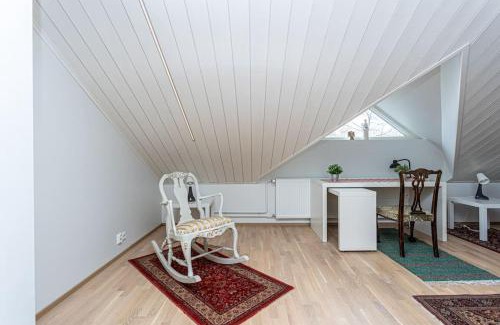 Downtown Kuopio Apartment | Uniikki kattohuoneisto ydinkeskustassa, lämmin pysäköinti, max 6 hlöä